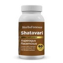 Herbsforever Shatavari Capsules Premium Asparagus Racemosus Supplement 40% Saponins 750 mg High-Potency Formel - 60 Vegetariska kapslar Herbal Wellness & Balance Support Non-GMO