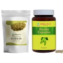 HERBAL HILLS Gurmar Tea Powder och Karela Capsules Pack med 2 Combo