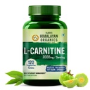 Himalayan Organics L-Carnitine L-Tartrate med Green Tea Extract 2000 Mg | Hälsosam vikthantering | Stöder muskelåterhämtning, öka energi, uthållighet och fettbränna -120 vegetariska tabletter