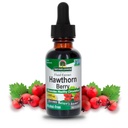 Naturens svar Hawthorn Berries | Främjar hälsosam cirkulationsfunktion | Hjälper till att upprätthålla hälsosamma kolesterolnivåer | Glutenfri, alkoholfri, Kosher Certified & No Preservatives 1oz