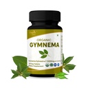 Gymnema 120 tabletter – USDA Organic Gymnema Sylvestre Supplement