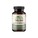 TERRA ORIGIN Healthy Mind and Memory Support Supplement | Cognitive Memory Matrix | Nootropic CDP, Bacopa, L-Tyrosine, Huperzine A, Ginko, B12 | Non GMO, Gluten Free, Dairy Free | 30 kapslar