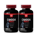 Arabinogalaktan, gut flora tillskott, aloe vera blad pulver organisk - CANDIDA AWAY COMPLEX - oregano oljekapslar, wormwood tillskott kapslar, immunförstärkare, candida stöd - 2 Bottle 120 Caps