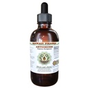 Hawaii Pharm Artichoke Alcohol-Free Liquid Extract, Artichoke (Cynara scolymus) Dried Leaf Glycerite Natural Herbal Supplement 2 oz