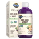 Garden of Life Organics Elderberry & Zinc for Children's Immune Support, Kids Cough & Mucus Immune Syrup with Ivy Leaf, Vitamin C and Echinacea for Children, Alcohol-Free, No Added Sugars, 3.92 fl oz
