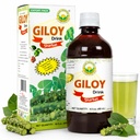 BASIC AYURVEDA Giloy Juice (Sharbat) | 16.23 Fl Oz (480ml) | Natural Guduchi (Tinospora Cordifolia) Herbal Tonic | Supports Immunity & Energy | Gluten-Free, Non-GMO & Vegan