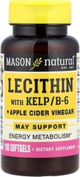MASON NATURAL Lecithin med KELP, B 6 Plus Cider Vinegar