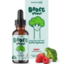 Broccoli Sprouts Sulforaphane Liquid for Kids – Activated BroccoRaphanin + Myrosinase – Broccoli Supplement Sulforaphane Glucosinolate – Brain & Mood Support – Berry Flavor – 60 Servings