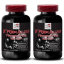 Active Energy Source - TRIBULUS TERRESTRIS Extract - Energy for Fitness, Natural Power Support, Body Strength Recharge, Muscle Recovery Formula, Daily Energy Boost 2 Bottles 180 Tablets