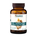 Himalaya Boswellia, Gemensamt stöd för rörlighet och flexibilitet, främjar Tissue Preservation, 250 mg, 60 kapslar