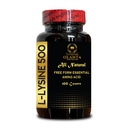 L-LYSINE 500 - Amino Acids, Non-GMO, support Hormone regulation, Protein synthesis, L-Lysine Immune Support, L-Lysine HCI, Free Form Amino Acid 500mg Supplement - 1 Bottle 100 Counts