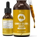 Organisk Ginkgo Biloba Extract Liquid Supplements, Brain & Focus Support, 98% Absorption, Vegan, Non-GMO, alkohol & Gluten Free - 4 Fl Oz