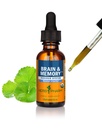 Herb Pharm Organic Nootropic Brain & Memory Supplement med Ginkgo Biloba Liquid Extract: Snabb Absorption för Mental Focus Support, Ginkgo Supplement, Vegan, Gluten-Free, Non-GMO, 1 Oz