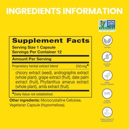 Himalaya PartySmart, 12 Capsule Tube - Alkohol Breakdown Liver Support för en bättre morgon efter att ha druckit - Plant Based, Vegan, Non-GMO, Gluten Free, Clinically Studied (Pack of 2)