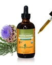 Herb Pharm Certified Organic Artichoke Liquid Extract för kardiovaskulär och cirkulationsstöd - 4 Ounce