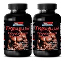 piller för män sex lång och stark - TRIBULUS TERRESTRIS EXTRACT 1000MG - MUSCLE STRENGTH, manlig fertilitet booster, manliga libido piller, manliga sexpiller, manlig förbättring, uthållighet booster, 2B 120 tabletter