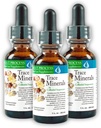 Morter Trace Minerals in Colloidal Suspension (3 Pack) Morter HealthSystem Best Process Alkaline - Nutrient Dense Trace Elements, Fulvic Minerals & Amino Acids