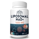 1600 mg Liposomal NAD Supplement, 98% Pure NAD + Supplement, Superior Absorption, Alternativ till Nicotinamide Riboside eller NADH för att öka NAD + för åldrande försvar, energi, livslängd, 60 Softgels