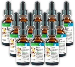 Morter Trace Minerals in Colloidal Suspension (12 Pack) Morter HealthSystem Best Process Alkaline - Nutrient Dense Trace Elements, Fulvic Minerals & Amino Acids