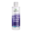 Swanson Concentrace Trace Mineral Drops 8oz-Complete Mineral Complex för energi, Hydration och Electrolyte Balance Över 72 High Absorption Ionic Minerals Såsom Magnesium, Kalcium (2 Pack)