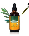 Herb Pharm Certified Organic Olive Leaf Liquid Extract för immunsystem Support, 4 Fl Oz