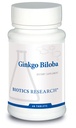 Biotics Research Ginkgo Biloba Standardized 24% Ginkgo Biloba Percent Extract, Brain Supplement, Nootropic, Focus, Energy, Memory, Healthy Aging. 60 tabletter