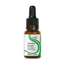 Söker Health Lactase Drops - Liquid Supplement med Lactase Enzyme för Dairy Intolerance Support - Intolerans Support för Digestion - Lactase Enzyme Supplement - 0,50 Fl oz, 52 portioner