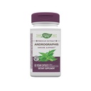 Naturens sätt Premium Extract Andrographis, Immune Support *, 300 mg Andrographis Extract per portion, 60 kapslar