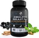Shilajit Himalayan Supplement 60% Fulvic Acid, 120 Vegan Capsules Supply with Pure Natural Shilajit, Ashwagandha, Ginseng Extract - High in Trace Minerals for Men Energy Support