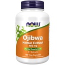 NU Tillägg, Ojibwa Herbal Extract 450 mg, Koncentrerad Blend, Alkohol-fFree, 4:1 Herbal Extracts, 180 Veg Capsules