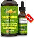 Chlorophyll Liquid Drops 100% Organic Vegan - Energy and Immune System Booster Supplement with Mint Flavor for Water - Natural Internal Deodorant - Extra Strength 6000mg 120 Servings