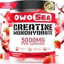 Kreatinmonohydrat Gummies för män och kvinnor 5000mg Kreatinmonohydrat per portion för muskelstöd energi öka 120 greve Chewable 5g Kreatin Supplement Sugar Free Vegan (1 Pack, Strawberry)