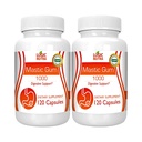 Mastic Gum Capsules - Natural Gastrointestinal Support Supplement, 1000mg Per Serving - 120 Capsules (2 Bottles)