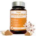 Stomach Plus-for Stomach, Gastritis, Stomach Lining Repair, Acid Reflux, Heartburn, Indigestion, med Galangal, Dong Quai, Cinnamon & Magnolia-45 kapslar