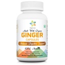 Organiska Aura Ginger kapslar - 120 Veg kapslar. 2 månaders leverans. Naturligtvis ökar matsmältningen, lättnad mage upprörd och förbättrar immunitet. Ingen GMO och Gluten fri.