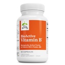 Terry Naturally BioActive Vitamin B - Aid Heart Health med Bioactive B-vitaminer - Tillägg med folat och kalcium - B Komplex vitamin för att hjälpa nervsystemfunktion - 60 kapslar