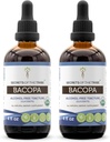 Hemligheter av stammen Bacopa USDA Organic | Alkoholfri extrakt, hög-potens Herbal Drops | Tillverkad av 100% certifierad organisk Bacopa (Bacopa Monnieri) Torkade Herb 2x4 oz