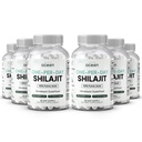 Organics Ocean One-Per-Day Shilajit för män och kvinnor - Naturligt och Potent Shilajit Supplement för åldersförbättrande, benstyrka, Hormonstöd och mer - 6 flaskor Shilajit Capsules