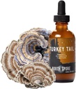 North Spore Organic Turkey Tail Tincture | Mushroom Supplement för Immune Wellness | Hållbart odlad och bekräftad för styrka | Trametes Versicolor Extract | Vegan, Non-GMO - 2oz