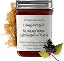 Dr Sebi Inspired Alkaline Organic Fresh Elderberry Ginger Sea Moss Gel - Naturliga väsentliga vitaminer, mineraler Plus Antioxidanter Wild Harvested från Saint Lucia (8 oz.)