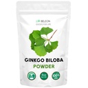 Ginkgo Biloba Powder 8 oz - Rent naturligt tillskott, hjärnstöd, mentala varningar, Filler Gratis