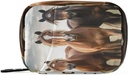 Hästpiller Organizer Case Portable Weekly Daily Pill Case Bag Organizer med Zipper för kosttillskott Medicin Travel Family Business