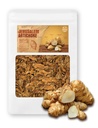 Farmer Queen Roasted Jerusalem Artichoke Helianthus Tuberosus Rich Inulin Polyphenol Dietary Fibe