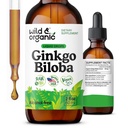 Wild & Organic Ginkgo Biloba Tincture - Brain & Focus Support med Ginkgo Leaf Supplement - Vegan, Sugar & Alkoholfri Herbal Extract Tincture - 2 fl oz