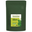 Banyan Botanicals Organic Guduchi Powder - Organic Immune Health Supplement - för Natural Detox, Balanced Digestion & Healthy Skin * - 1 lb - Icke-GMO Sustainably Sourced Vegan FFL