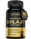 Atlantis Nutrition Himalayan Shilajit Capsules Formulerad med 20% Fulvic Acid | 10:1 Extract Tillhandahållande 10.000mg D.H.E. | USA Made | Himalayan Shilajit Supplement för Män & Kvinnor | 60 kapslar
