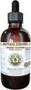 Green Coffee Alcohol-Free Liquid Extract, Green Coffee (Coffea Arabica) Torkade Bean Glycerite Hawaii Pharm Natural Herbal Supplement 4 oz