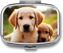 Pill Box 2 Compartment Square Pill Organizer Daily Small Pill Case för Travel Cute Golden Retriever Puppy Metal Pill Container Portable Medicine Organizer för Pill Vitamins Fish Oil Supplement