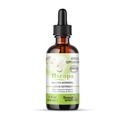 Bacopa Drops -Förbättrar minneskoncentration, fokus - Bacopa Monnieri Extract | Brain Supplement Memory Supplement Cognitive Enhancement | Herbal Remedy 2.0 fl oz - WellnessHerbs Ships från USA.