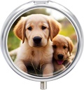 Pill Box 3 Compartment Round Pill Organizer Daily Small Pill Case för Travel Cute Golden Retriever Puppy Metal Pill Container Portable Medicine Organizer för Pill Vitamins Fish Oil Supplement